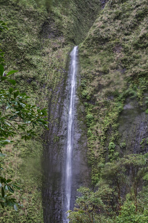 Blue Hole-Weeping Wall Adventure jungle trail